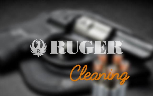 Ruger SR22 cleaning